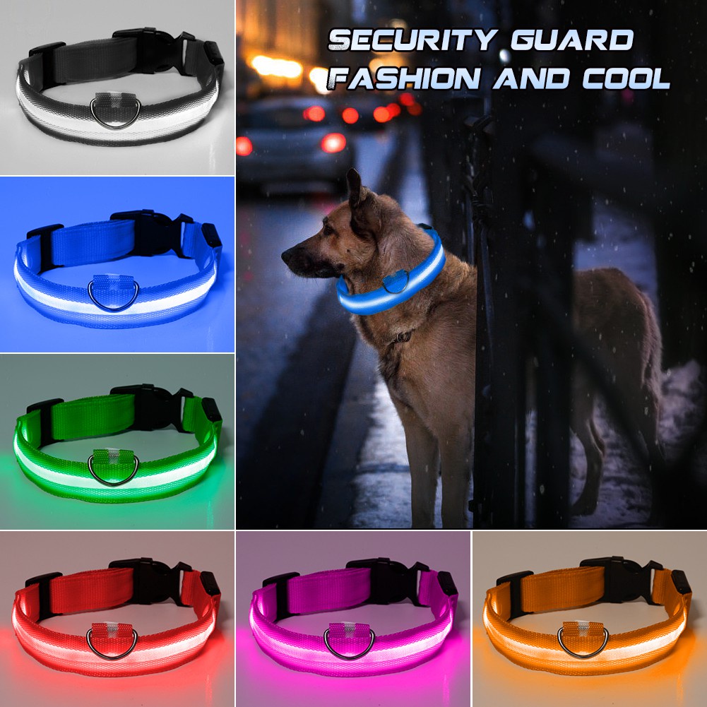 son seguros los collares de perro led